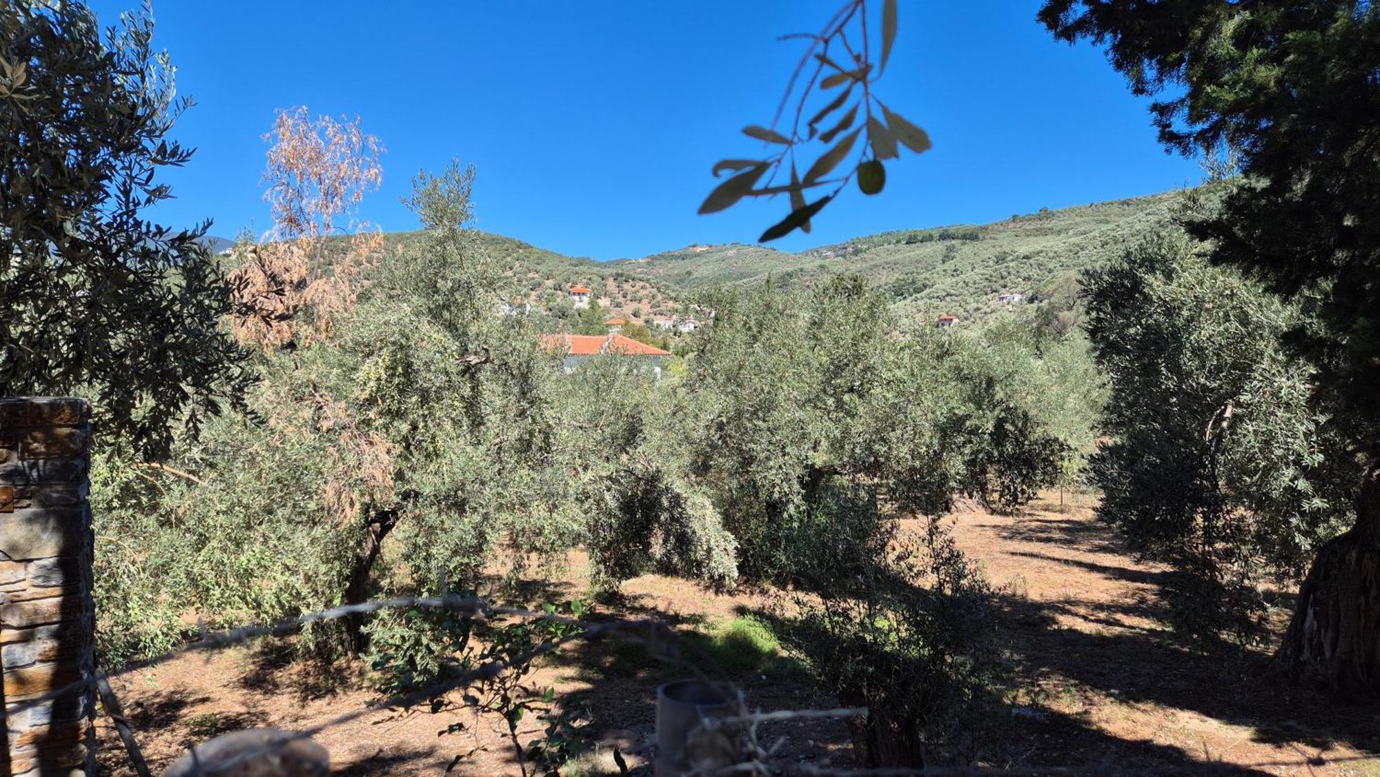 Villas On The Rock Afissos Exterior photo